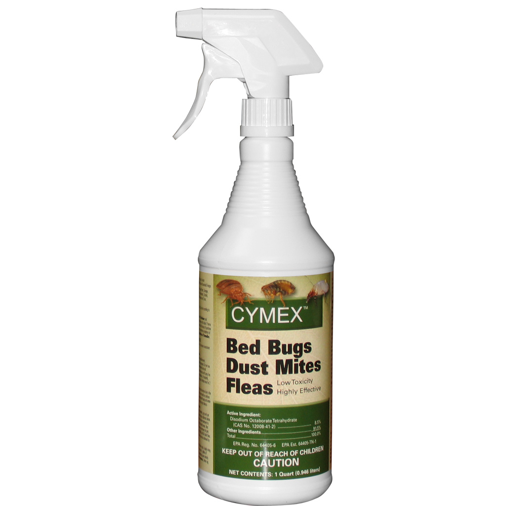 Clover Mites Vs Bed Bugs Bed bugs, dust mites,