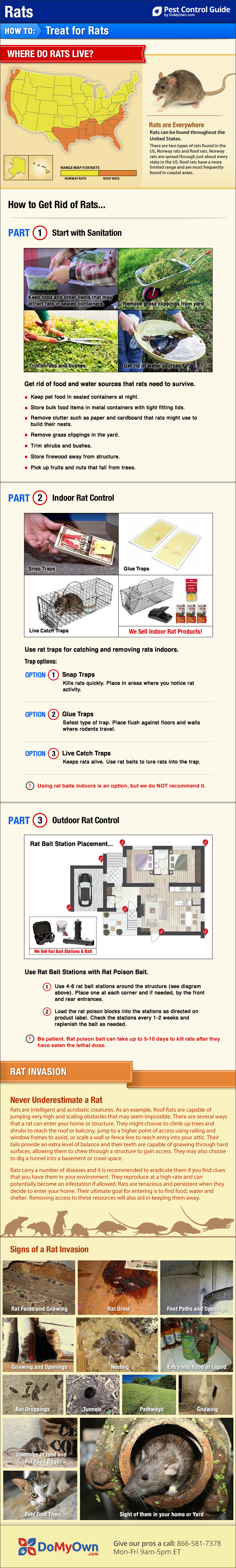 How To Get Rid Of Rats DIY Rat Control Guide